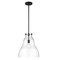 Designers Fountain Lakeview 60 Watt 1 Light Matte Black Pendant with Clear Glass Shade D229M-14P-MB - alternate 1